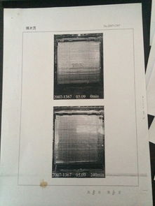 守護(hù)城市安全防線 上海防火卷簾門及其核心動(dòng)力——卷簾門電機(jī)的全面解析